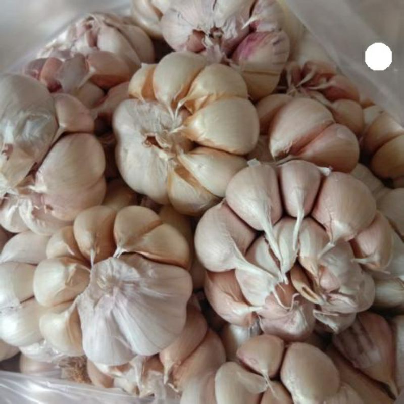 

Bawang Putih 250 gram