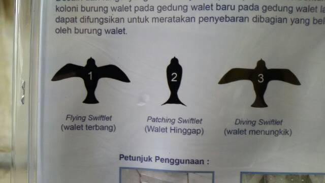 Burung Walet Imitasi Dummy Swiftlet