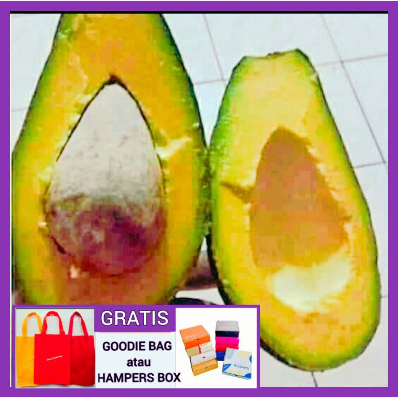 

ALPUKAT ALPUKAT MENTEGA Buah Alpukat Segar IBAZA fruitsBOX
