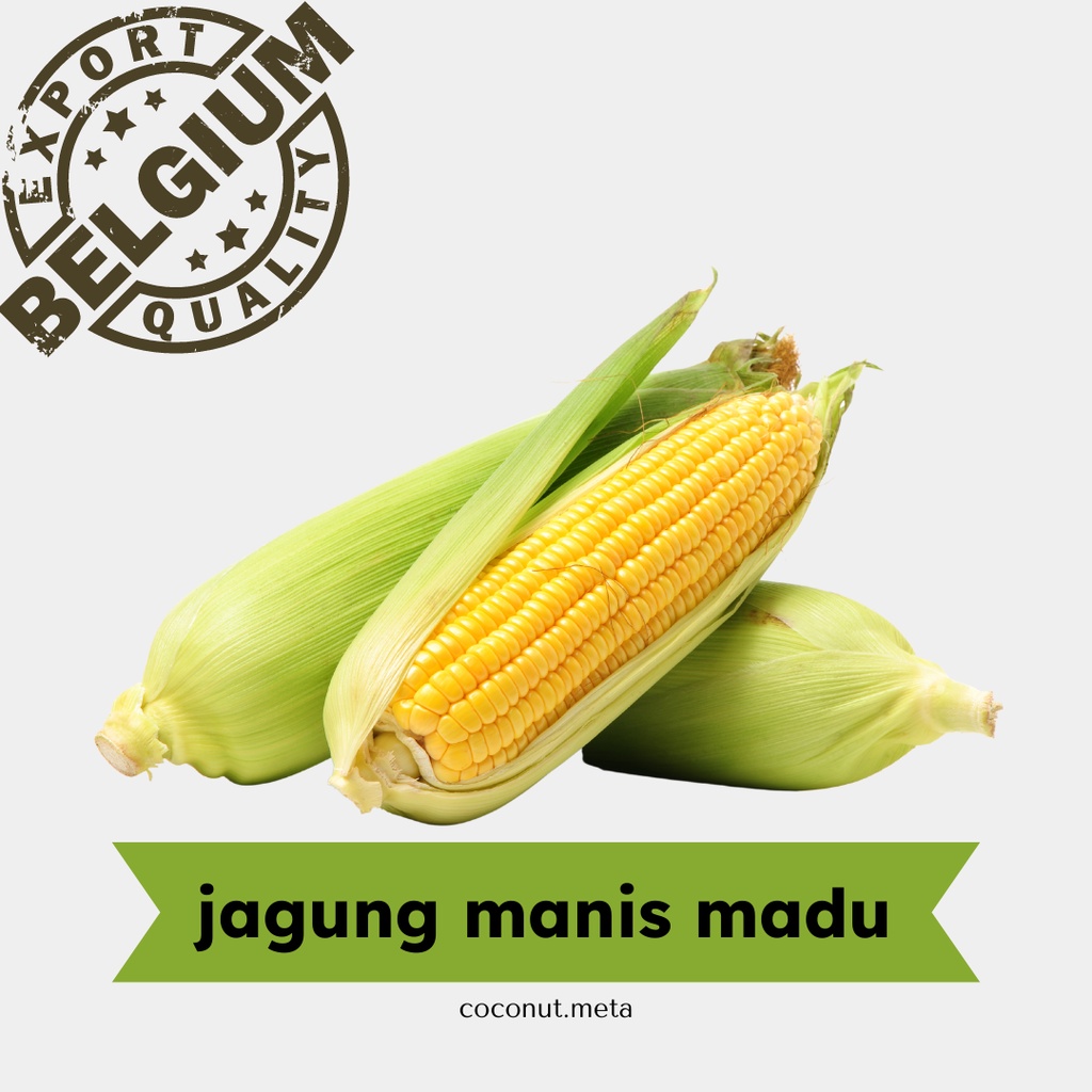 

Jagung Manis Madu 1pcs / Sweet Corn