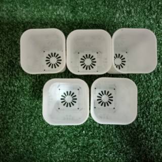  pot  bunga pot  kotak 5 cm pot  NKT Shopee Indonesia