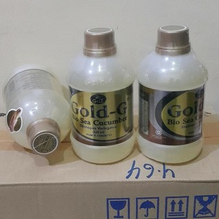 Beda Jelly Gamat Luxor Dengan Jelly Gamat Gold Tips 