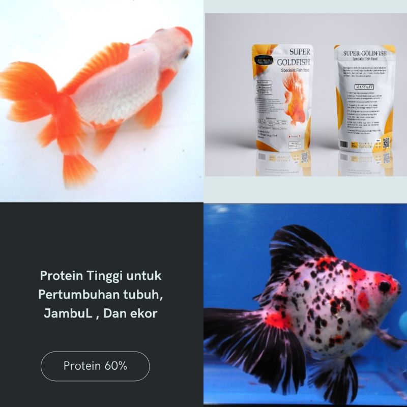 SUPER GOLDFISH Pelet Spesial ikan Koki 100 gram