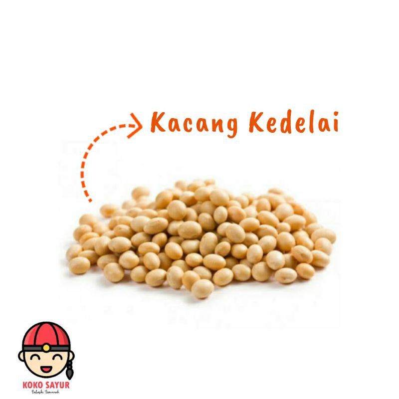 

[SAYUR EMAK] KUALITAS SUPER!!! KACANG KEDELAI 250 GRAM / BAHAN PELENGKAP