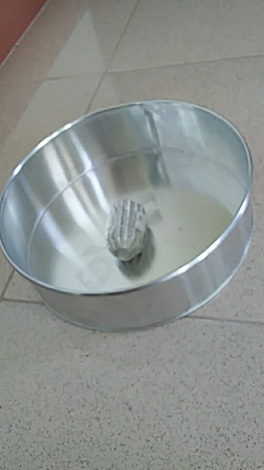 Loyang Bundar 24 X 7