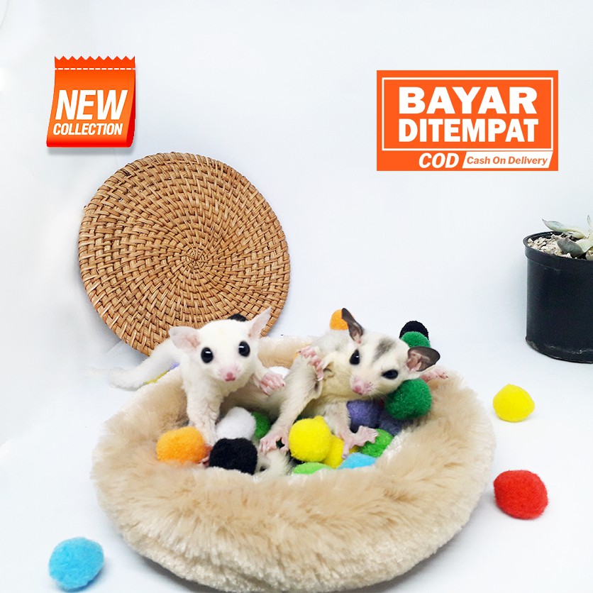 ADEWAP GLIDER Kasmir Kasur Sugar Glider Sleeping Pad Bulat Tempat Tidur Sugar Glider