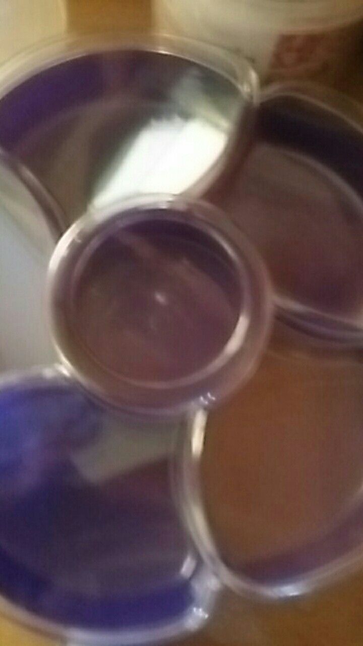 Toples Sekat Cantik Toples Bunga Spring Candy Tray Set Fish Star