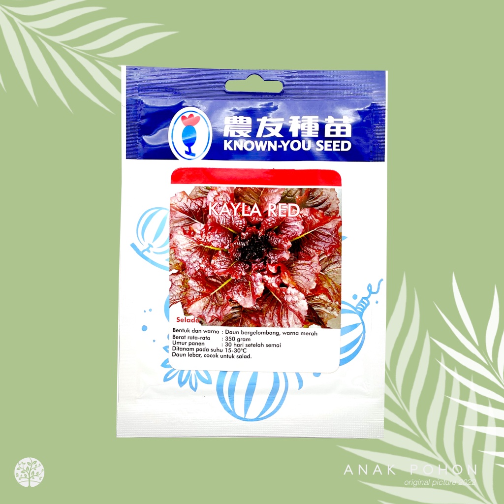 (1 PACK) Benih Selada Merah Kayla Red Lettuce Seeds - Known You Seed KYS - 10 GRAM