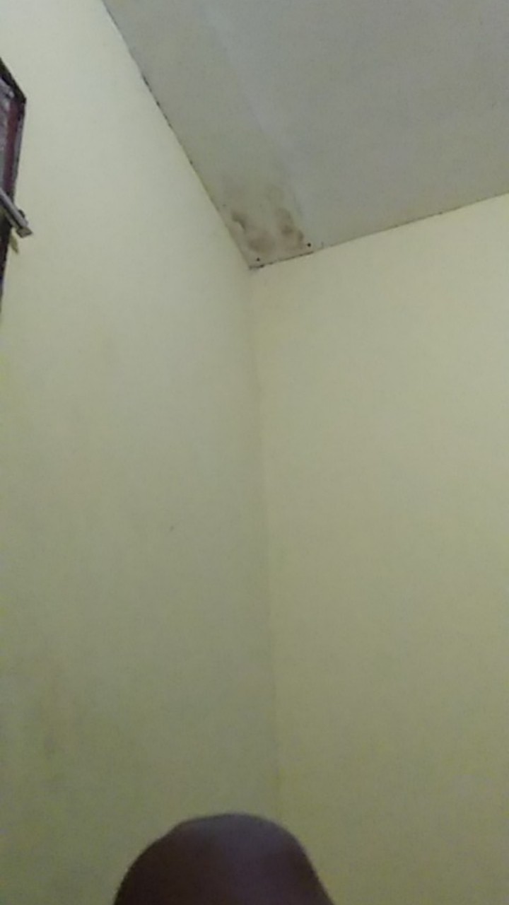 Parutan Serbaguna 8in1/alat Potong Sayur Kentang Gsf 7001