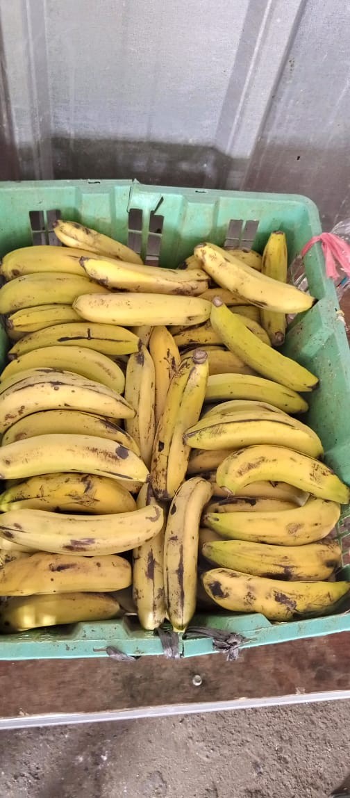 031-3 Payung Tenda Payung Pantai 240cm Cafe Bazaar Parasol Diameter Payung Untuk Event Booth