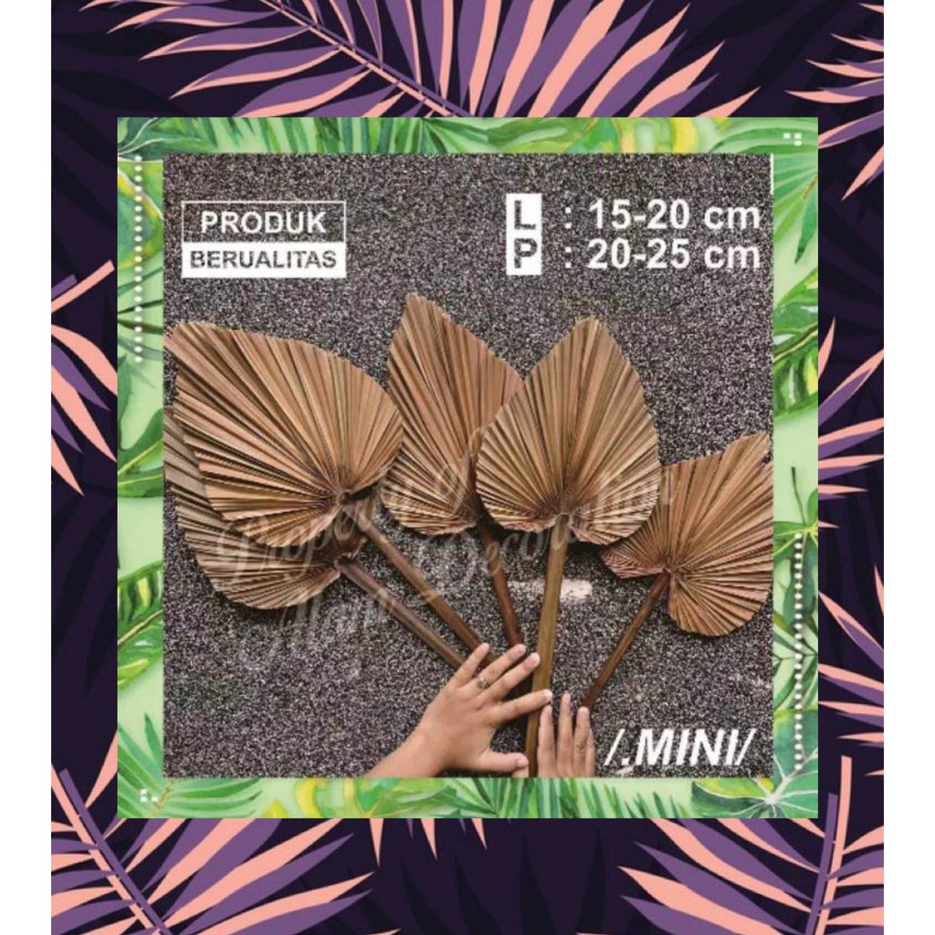 DAUN PALEM KERING MURAH MINI  / DRIED PALM DEKORASI PALEM