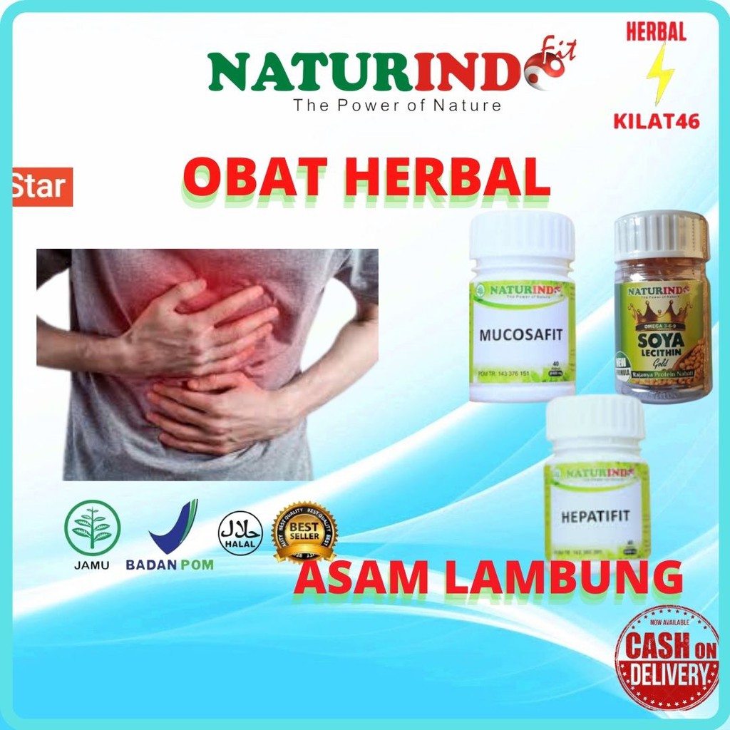 

obat herbal asam lambung aman alami tanpa efek samping solusinya paket sehat naturindo manjur