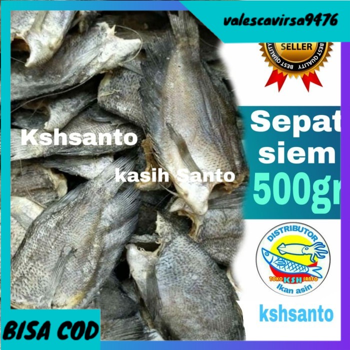 

⭐BISA COD⭐ ikan asin sepat siem super-500gram