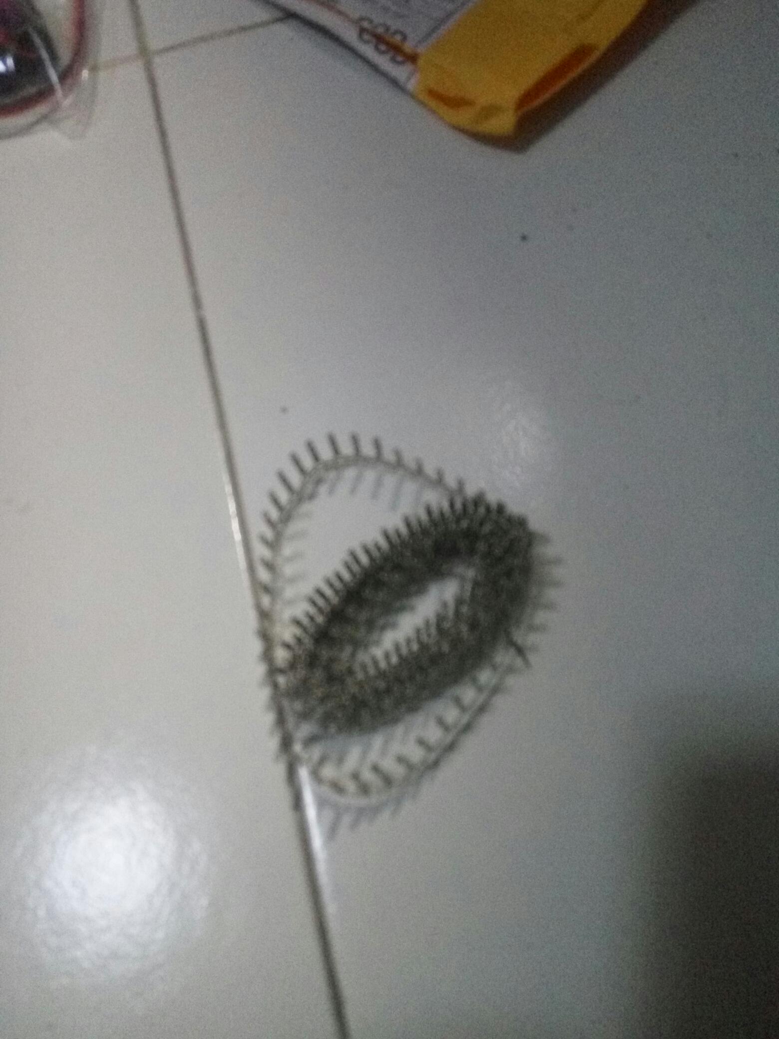 200pcs Terminal Dupont Jumper Kawat Terminal Connector Pins Crimp 2.54mm Tembaga Perempuan