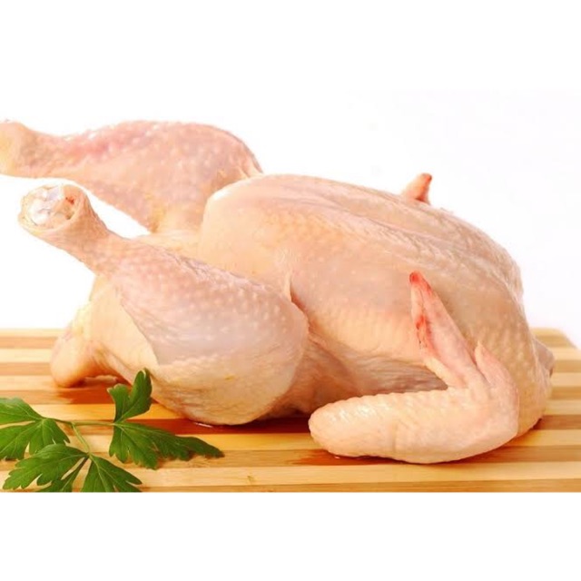 

Ayam Segar