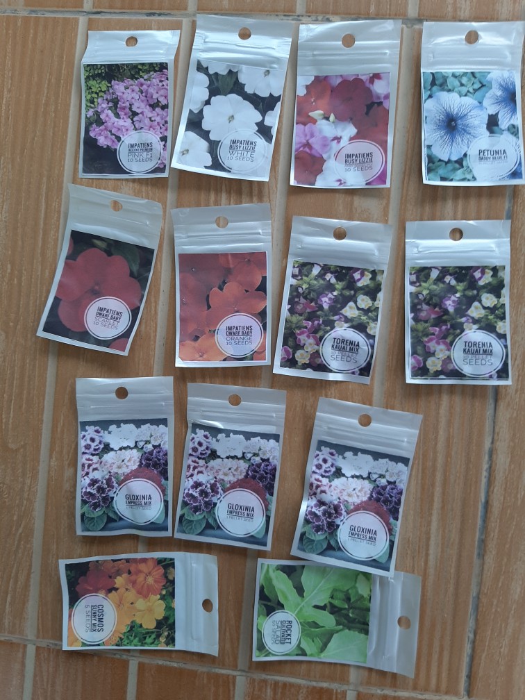 Impatiens Dwarf Baby Orange 10 Biji (benih Biji Bibit Tanaman Bunga)