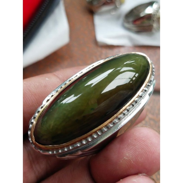pandan lumut lawas rudal ajib
