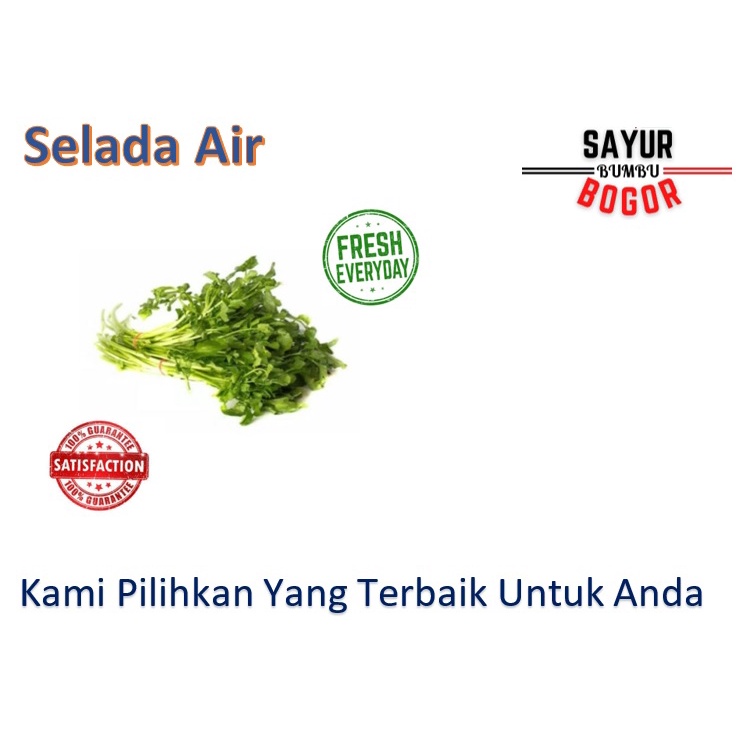 

Selada Air 1 Ikat / Sayur Segar / Sayur Bumbu / Sayur Bumbu Segar / Sayur Murah