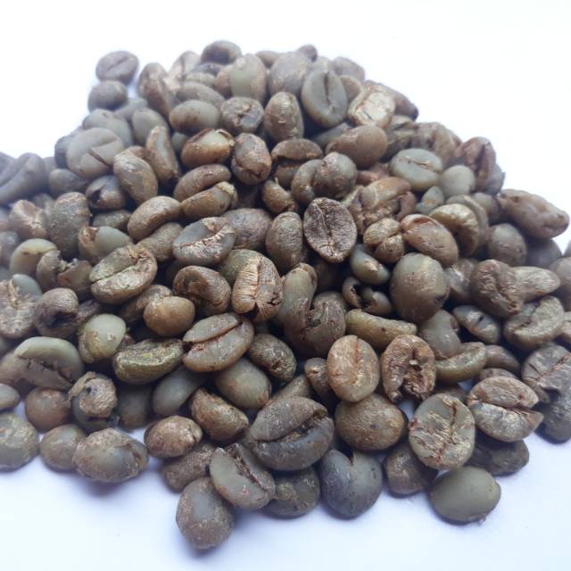 Green Bean/ Biji Kopi Robusta Sidikalang 1kg (Biji Kecil Kopi Mentah