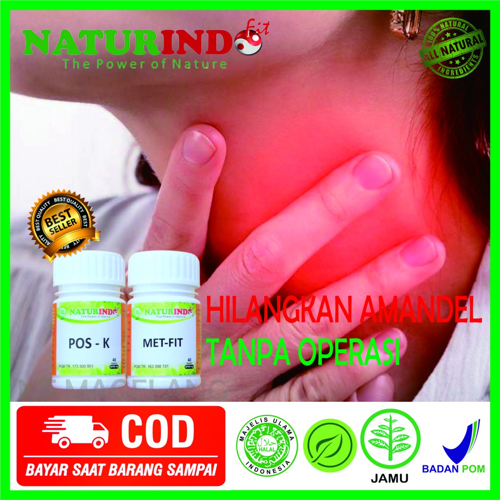 OBAT HERBAL infeksi saluran pernafasan alergi batuk berdahak faringitis sakit tenggorokan amandel