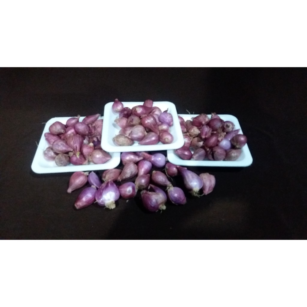 

Bawang Merah 1000gr