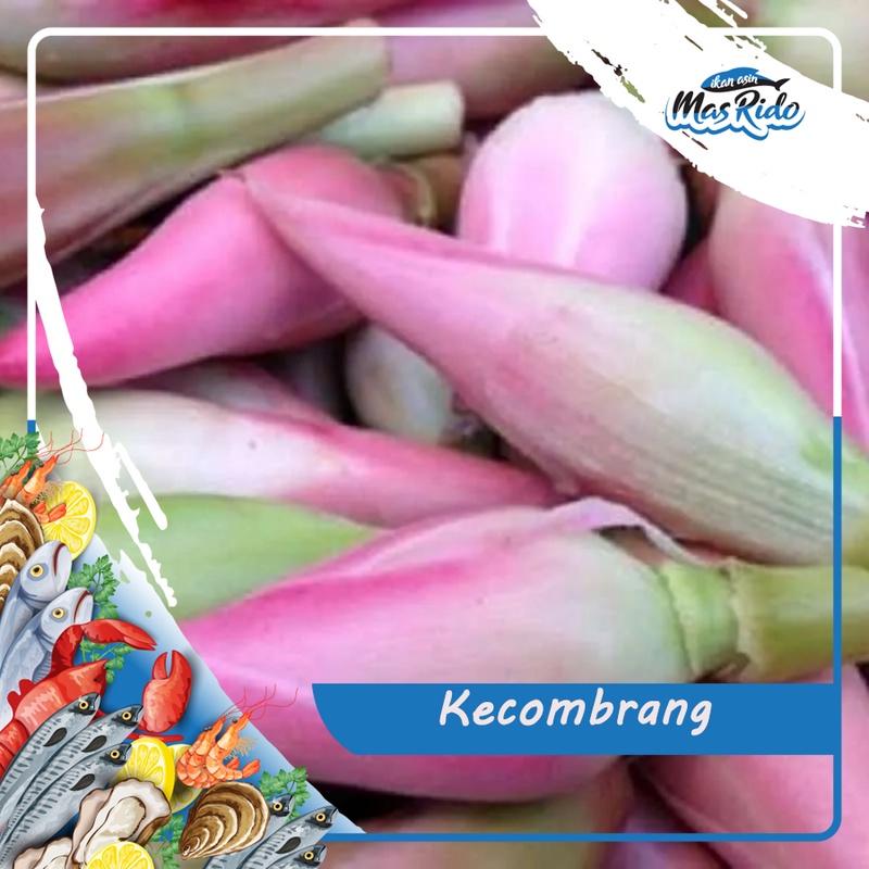 

Kecombrang Kembang Onje Honje Segar Fresh Kwalitas Super Harga Murah