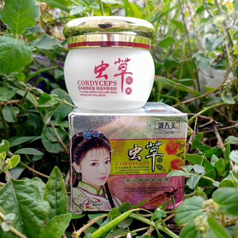 Cream Malam Cordyceps Yu Chun Mei Original / Krim Malam