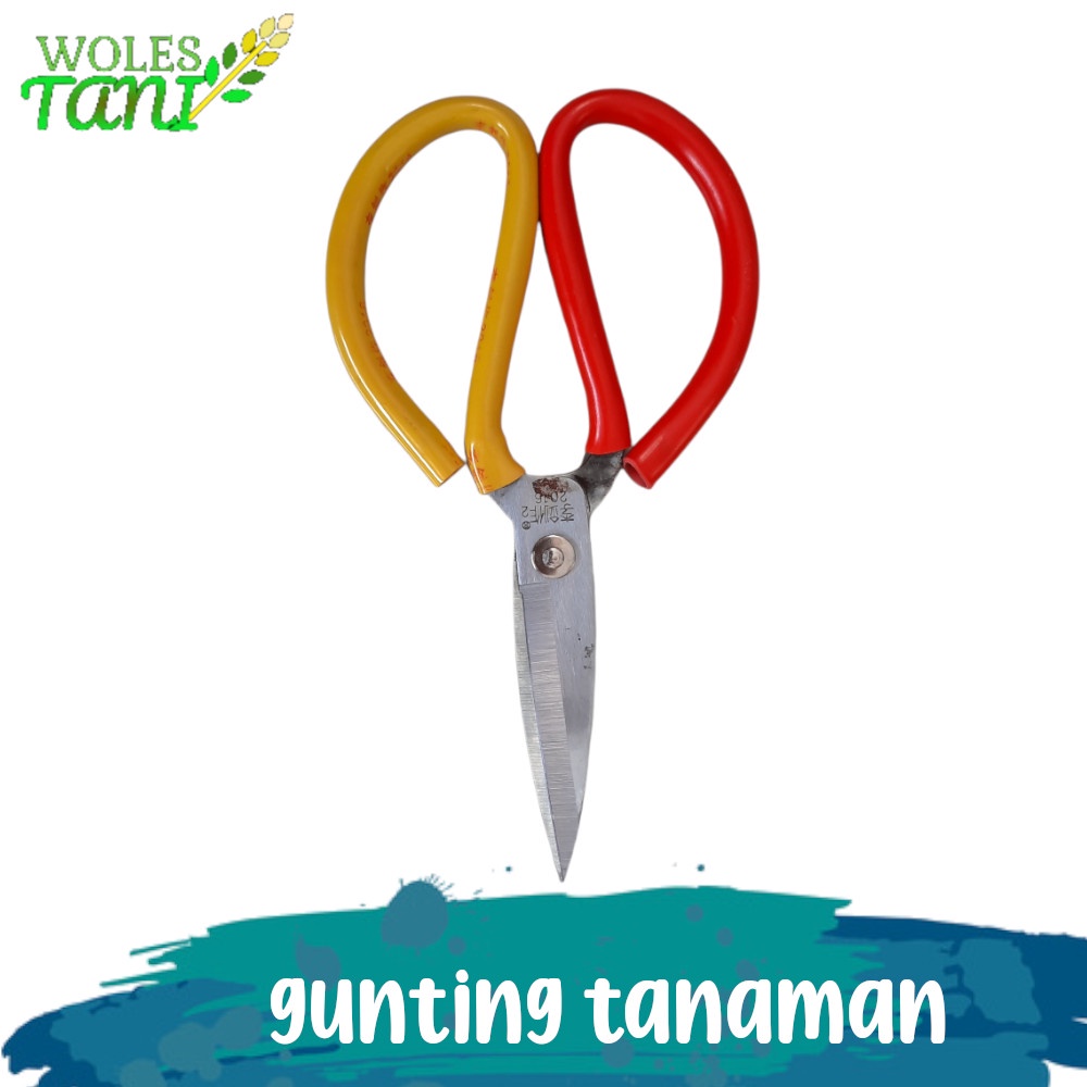 Gunting Kain Gunting Baja Gunting Tanaman