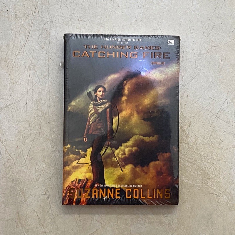 Hunger Games Catching Fire