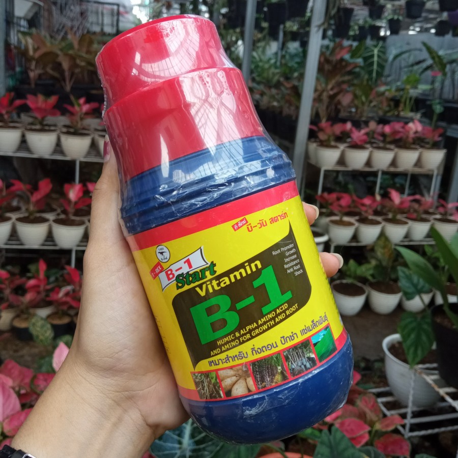 Vitamin B1 Tanaman Thailand 500ML / Vitamin Tanaman