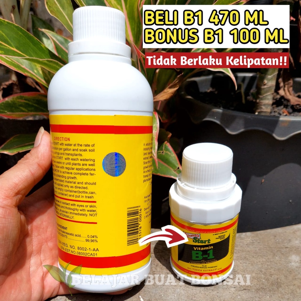 VITAMIN B1 LIQUINOX 470ML BELI 1 GRATIS B1 100ML