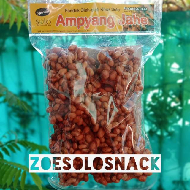 

Ampyang Kacang Jahe 500 gram Snack Oleh-oleh Tradisional Khas Solo Cemilan Enak Manis Camilan