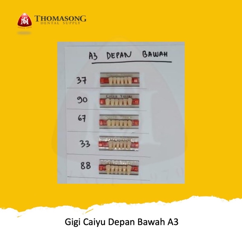 Gigi Palsu Caiyu Depan Bawah A3