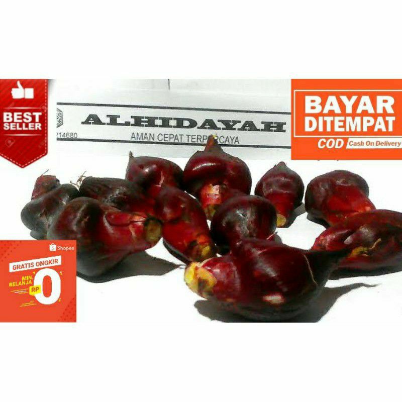 Bawang Dayak Segar 1kg