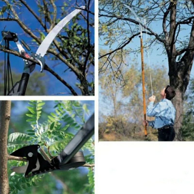 Tree Pruning. Galah 2.4 Meter Gergaji Potong Dahan Ranting