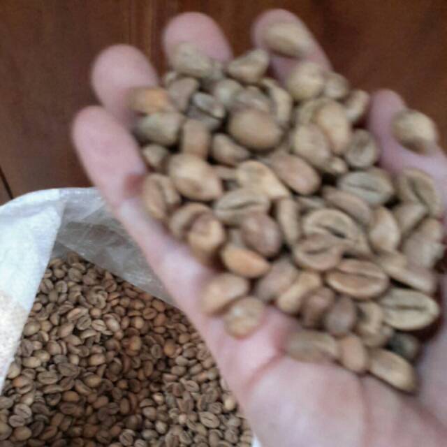 Biji kopi mentah jenis robusta