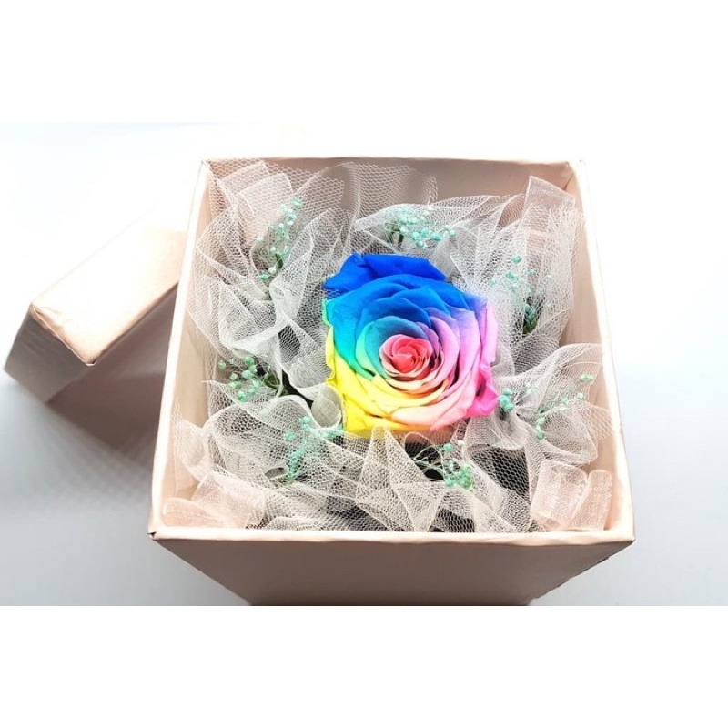 Jual Bloom Box Rainbow Rose Unique Multicolor Preserved Flowe | Shopee ...