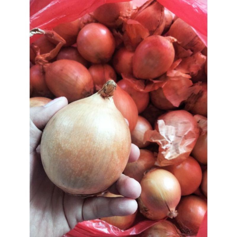 

BAWANG BOMBAY 1/2 KG BUMBU MASAK