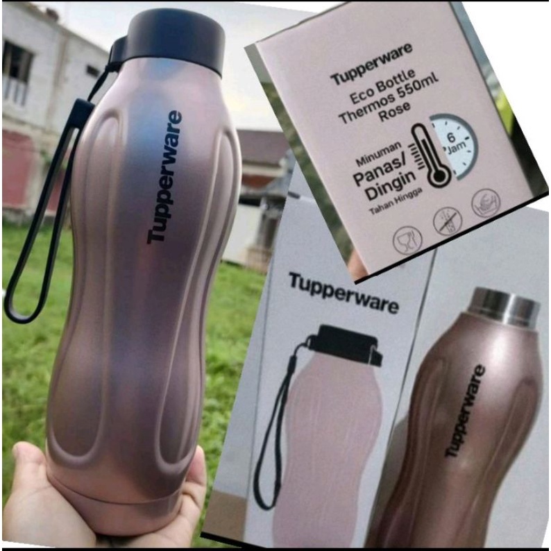 Eco Bottle Stainless/Eco Bottle/Eco Bottle Rose Gold/Fancy eco bottle