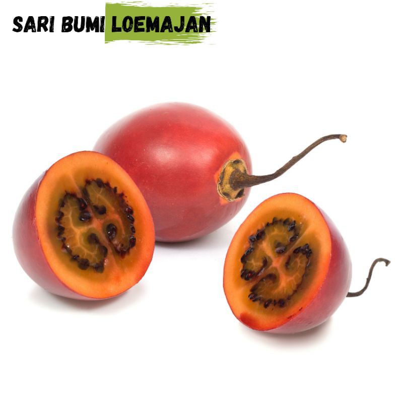 

sari bumi loemajan buah terong belanda 1kg