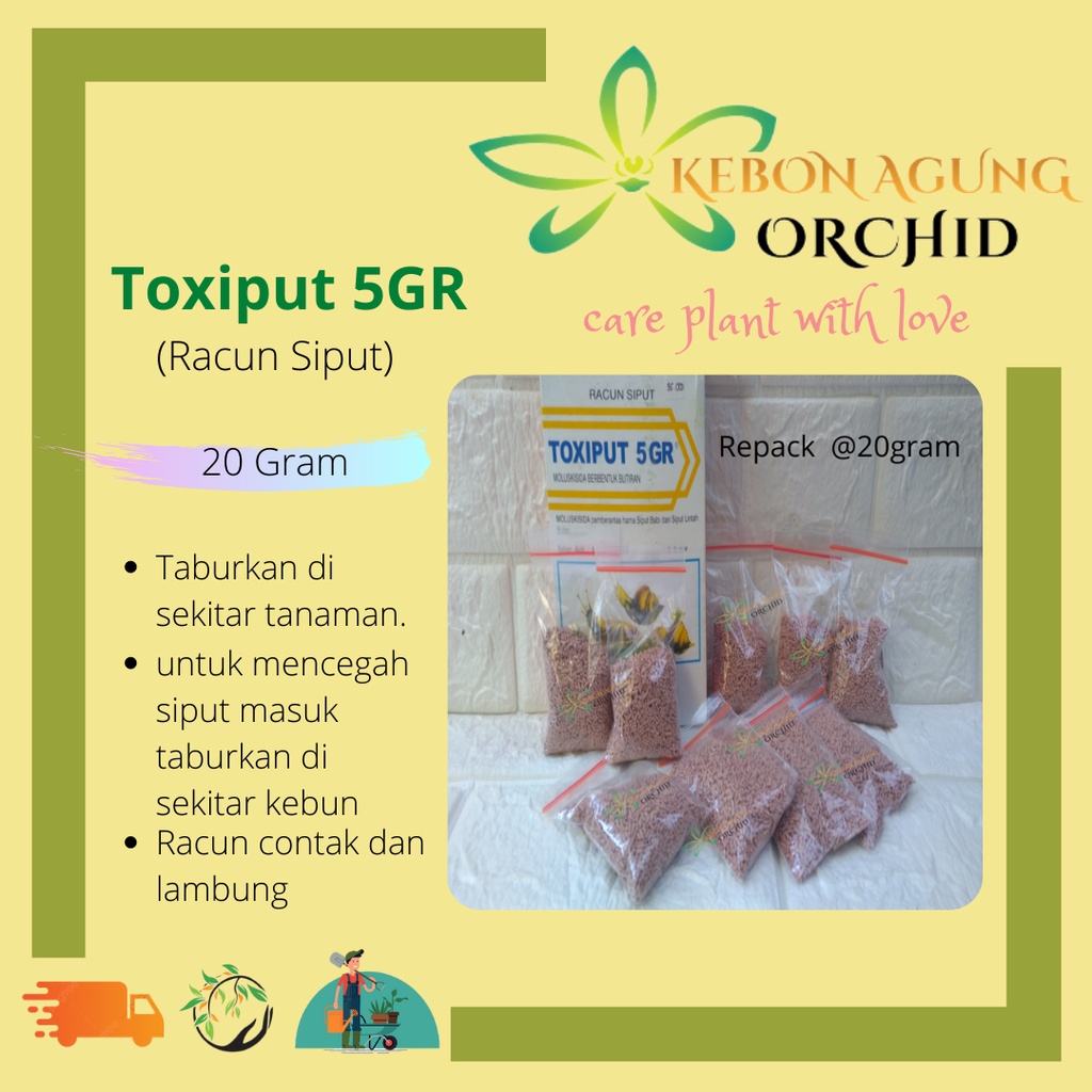 Racun Siput Toxiput Kemasan Repack Ampuh Basmi Hama Siput