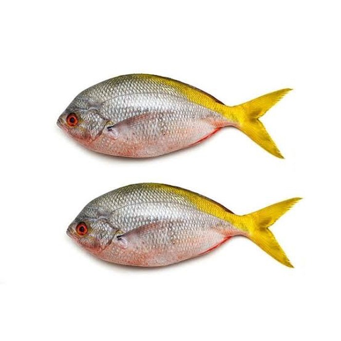 

Ikan Ekor Kuning Segar [1kg]