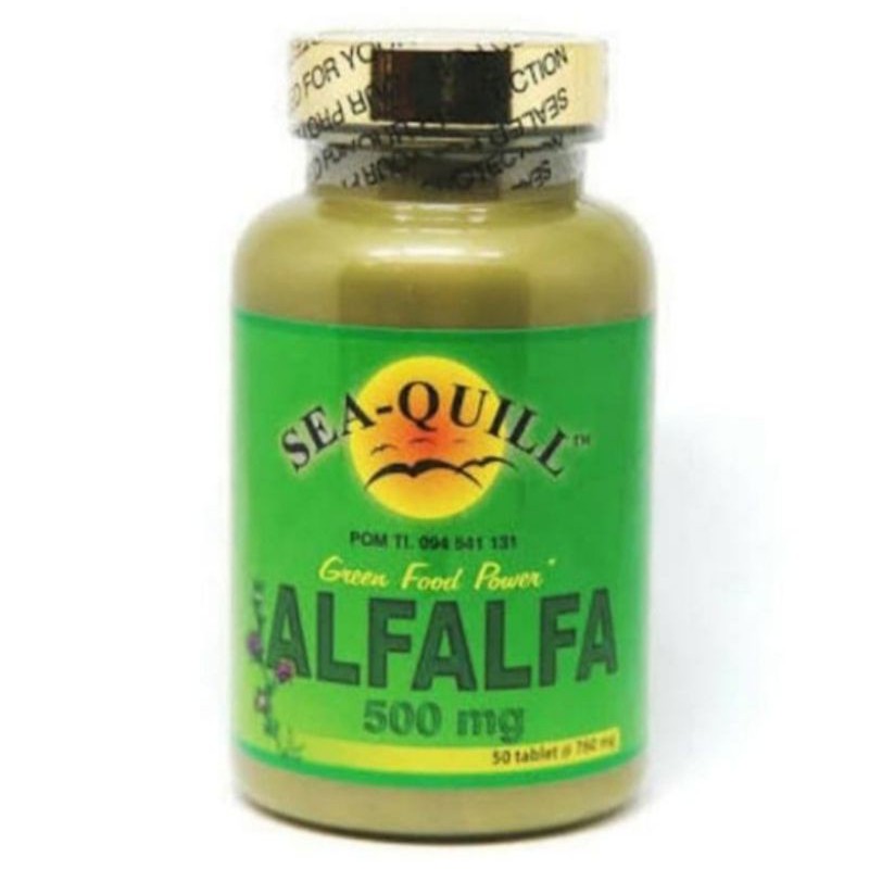 SEA QUILL ALFALFA SEA-QUILL ALFALFA | ED 2025 | FREE KARDUS