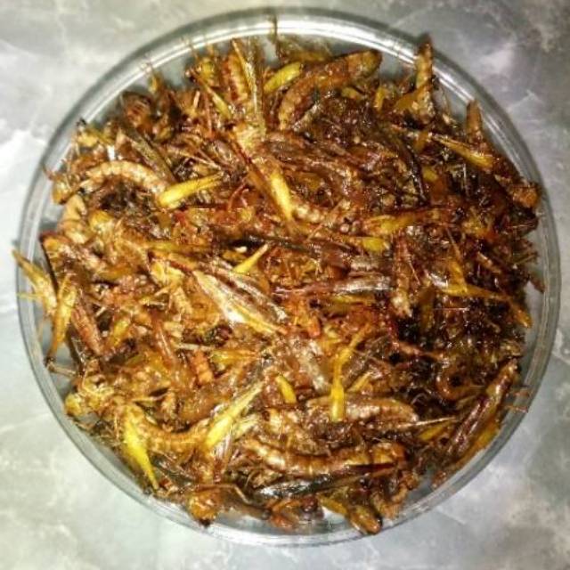 

Belalang Goreng Kecil 100 Gram