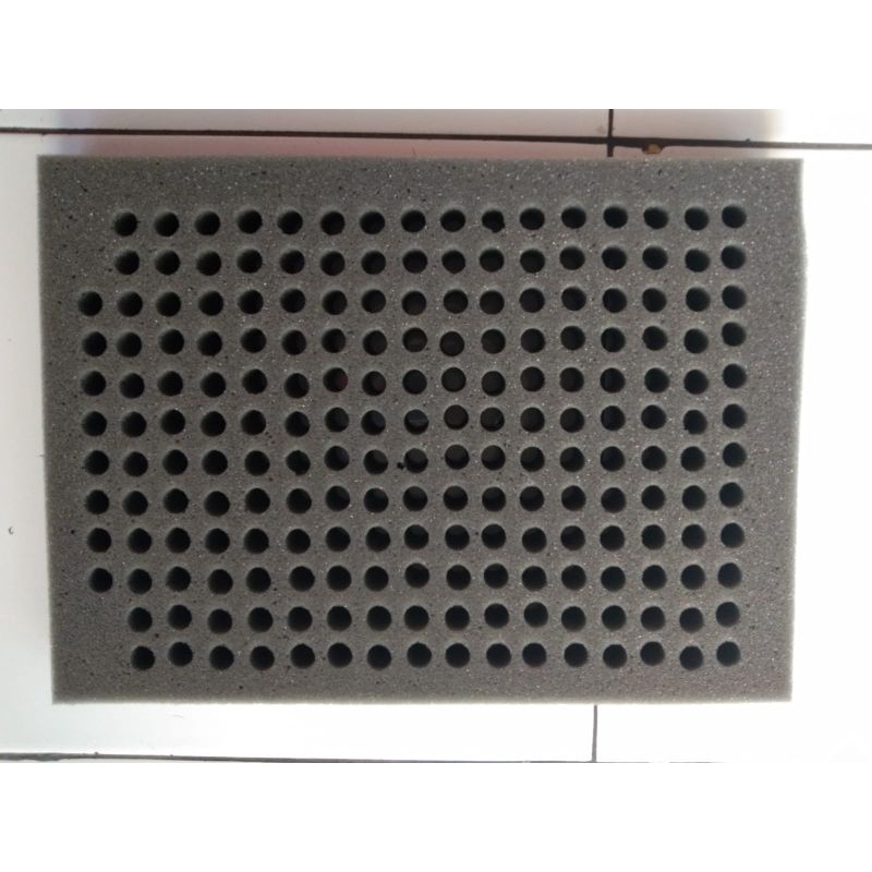 busa telur walet hitam