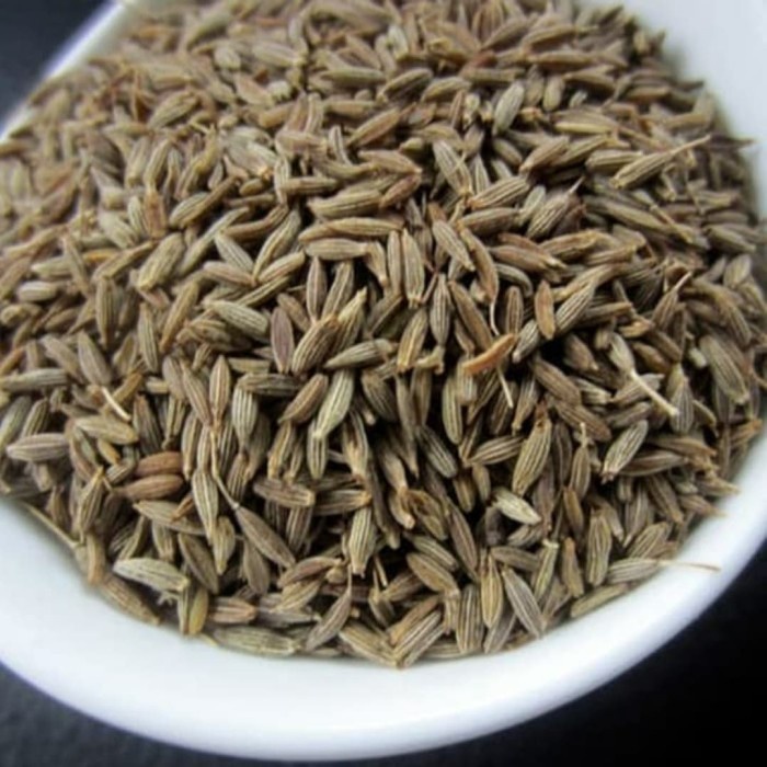 

JINTEN UTUH / CUMIN SEEDS