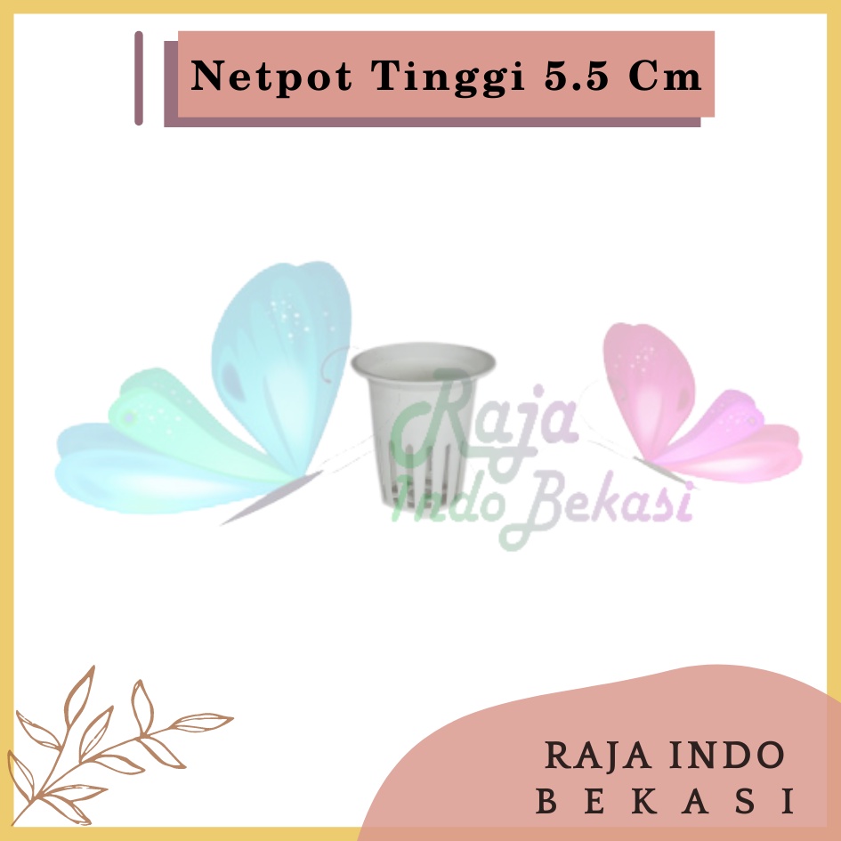 Netpot Putih 5CM New Design Lubang Bawah 1 Grosir Net Pot Hidroponik 5 Cm Tinggi 5.5CM Hydroponic