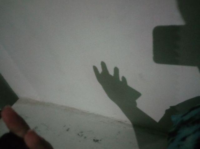 Murah Sendok Makan Motif Bintang