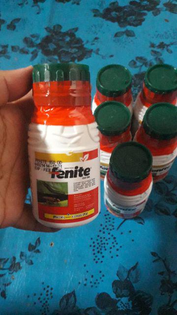 Insektisida Fenite 150 Od Dari Petrokimia Kayaku 100ml