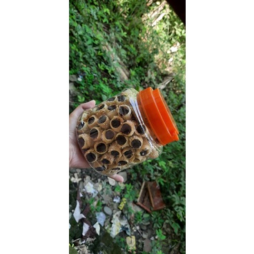 

Cumcum mini toples mini